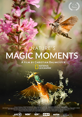 Film Screening – Nature's Magic Moments – Finalist: Nature inFocus Film Awards 2023