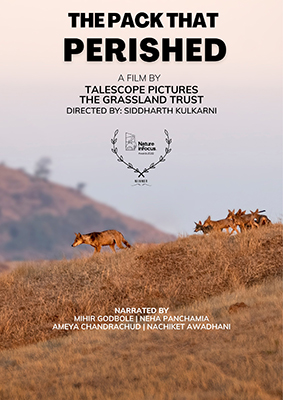 Film Screening | Q&A – The Pack That Perished – Winner: Nature inFocus Film Awards 2022