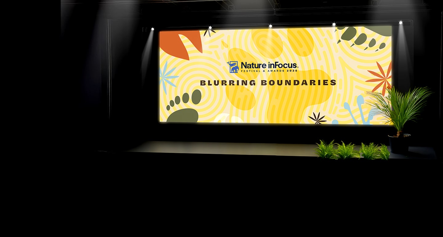 blurring-boundries