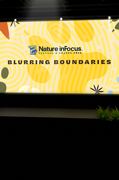 Blurring-boundries-banner