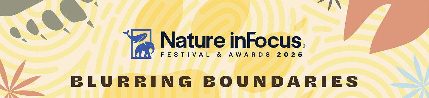 tickets-banner