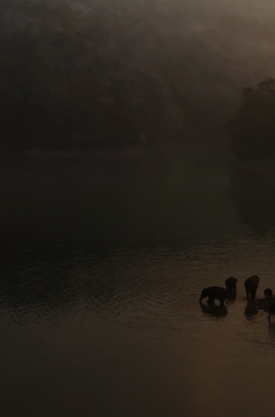 indianoceanbanner